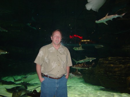 Ron - Gatlinburg - Aquarium