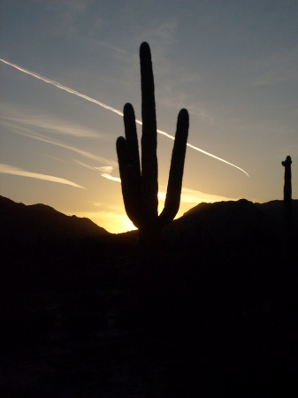 Arizona Sunset