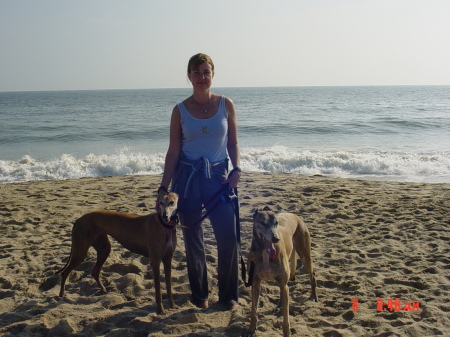Heidi and our greyhounds