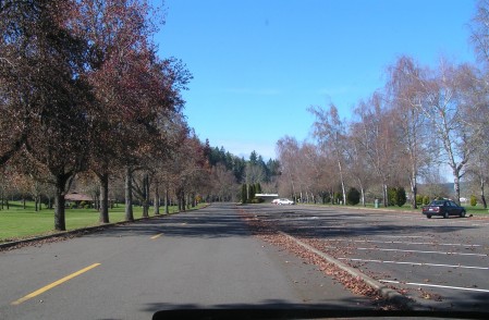 Park Roadway and Upper Parking area