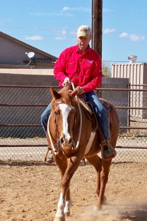 Randy Helm's album, Horses and horse training