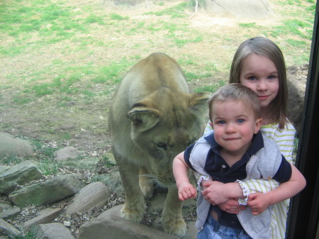 Knoxville zoo, 2005