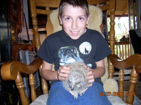 Taz with baby Great Horned Owl