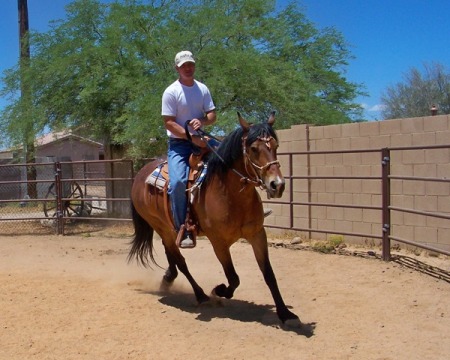 Randy Helm's album, Horses and horse training