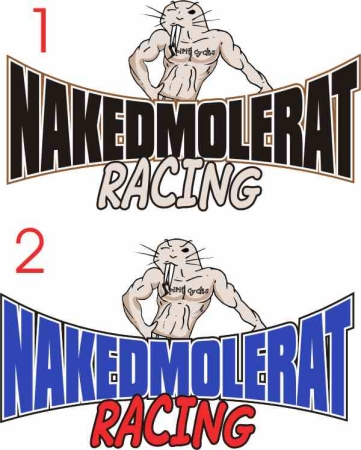 race logo