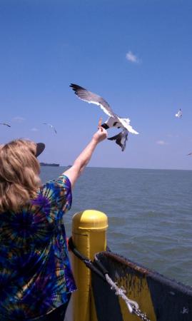 Feeding Seagulls off Galveston Ferry