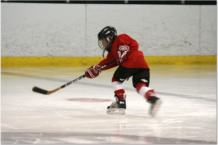 Andy Bay Harbor Redwings 2005