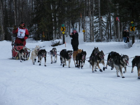 Iditarod 2008 Winner