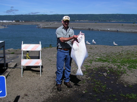 35 lb Halibut