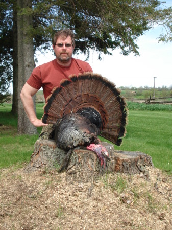 2011 Another great turkey season.