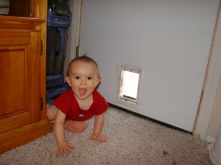 wyatt and doggie door