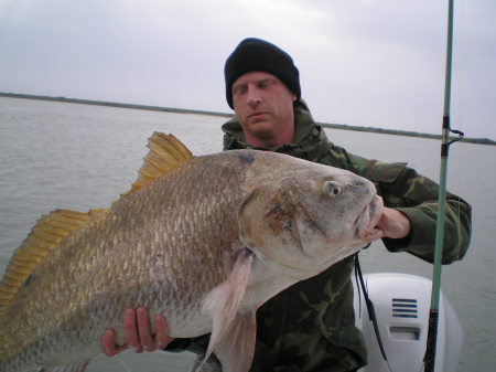 black drum