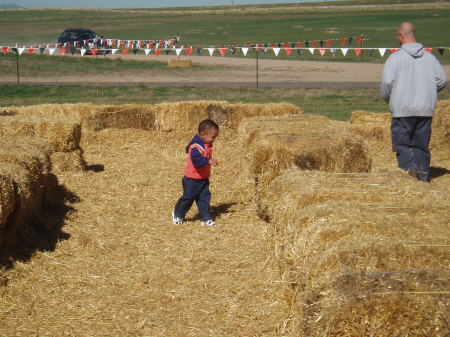 Running through the haystack maze