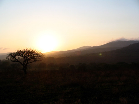 South Africa - Hluhluwe Hilltop Camp Safari