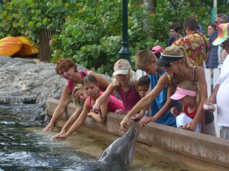 Feeding the dolphins at Sea World - July 2008