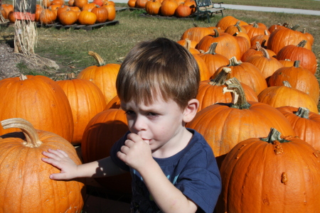 Pumpkin patch