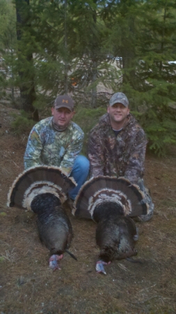 Spring Turkey Hunting 2011