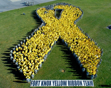 2008 Fort Knox Yellow Ribbon