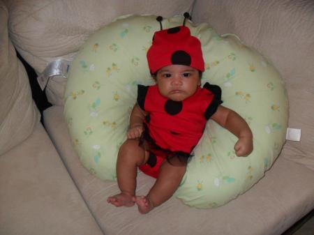 Our Little Lady Bug!