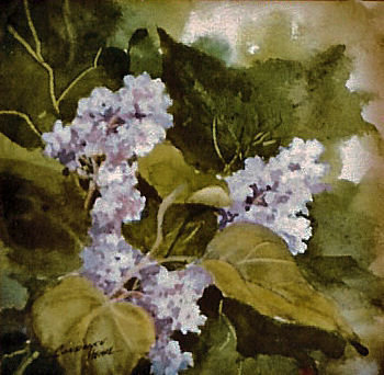 Spring Lilacs