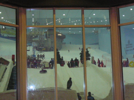 Ski Dubai inside Mall of the Emirates, UAE