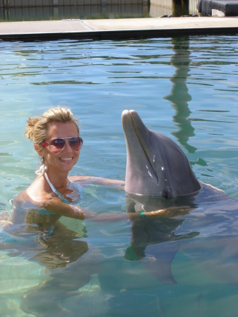 dolphin encounter