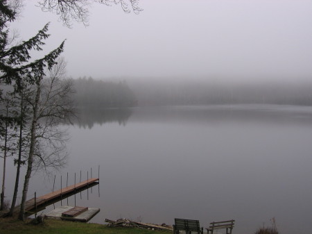 View from the Cottage Deck - Misty Times