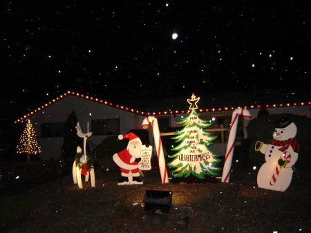 Our Christmas display at night