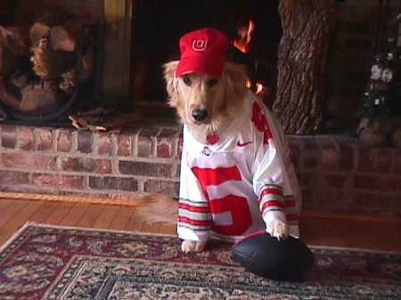 my little buckeye.