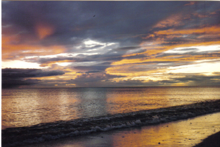 Sanibel Feb 1993