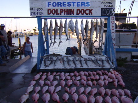 gulf coast fishing