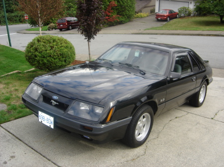 1986 Mustang GT  daily driver