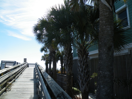 Doris Burbage's album, Folly Beach