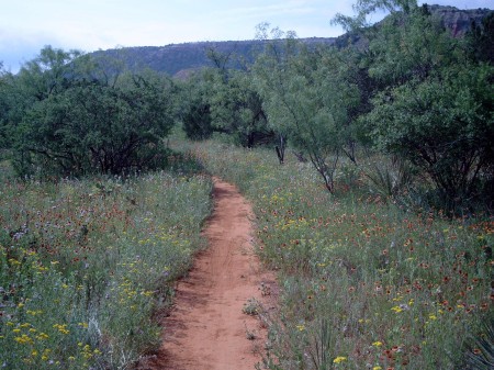 Thomas Glenz's album, Palo Duro Canyon