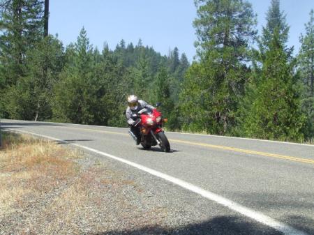 Cisco cruising thru the Canyons