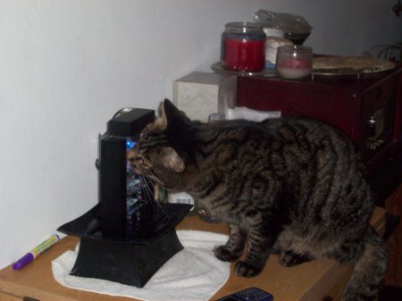 Knievil's  personal "drinking fountain"