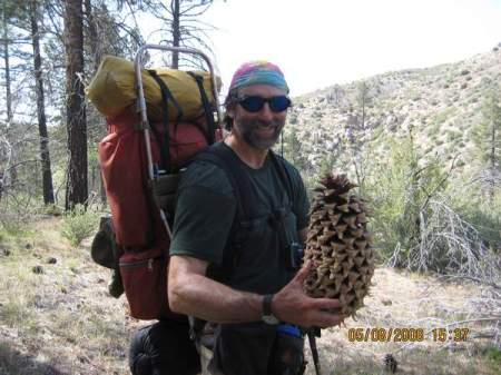 Giant Pinecone PCT 08