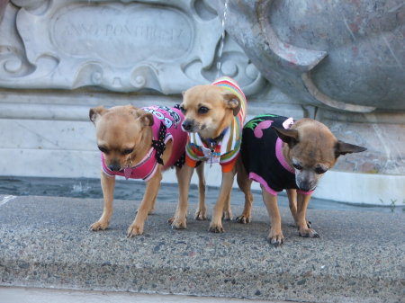 Meanny, Indy, and Spooky - Christmas in SF '09