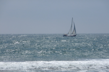 Sailboat on the Ocean