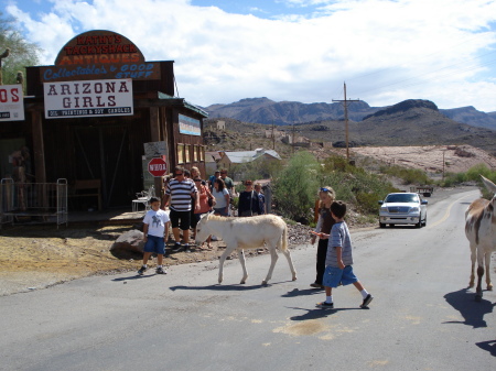 oatman 026