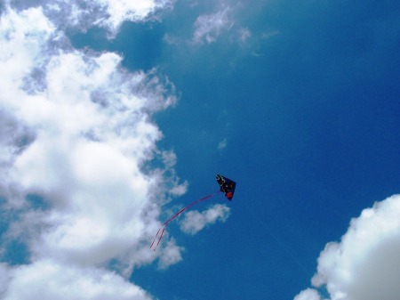 006 Daniel's kite
