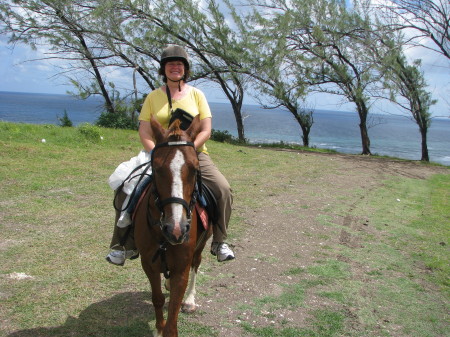 Horsing around - Barbados style