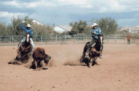 more roping pictures  gettem boys