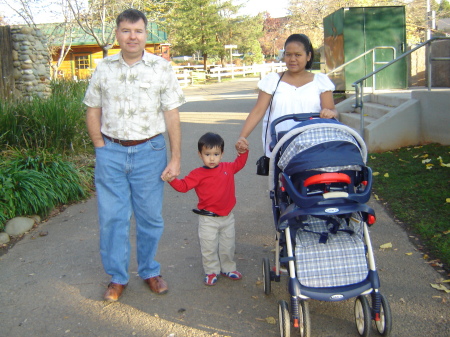 Taking the boys for a walk