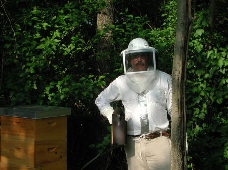 First honey bee hive and first bee suit (Mk-1)