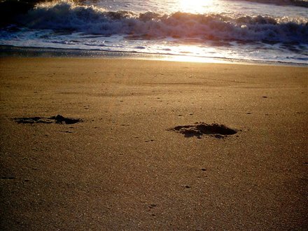 My mother's foot prints