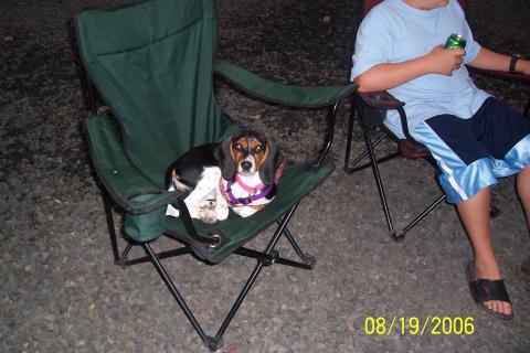 Roxie camping