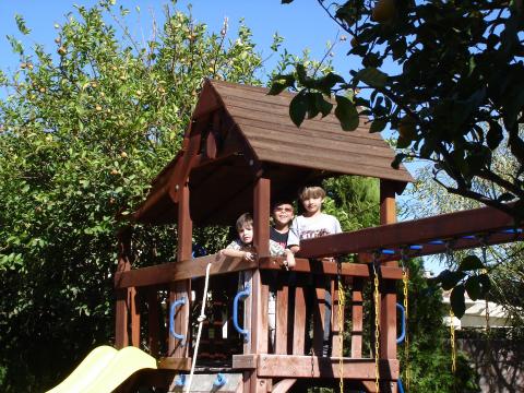 kids treehouse backy