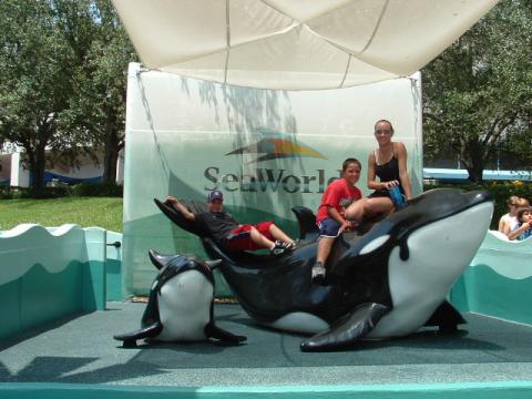 Sea World