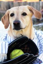 The Queen of Softball